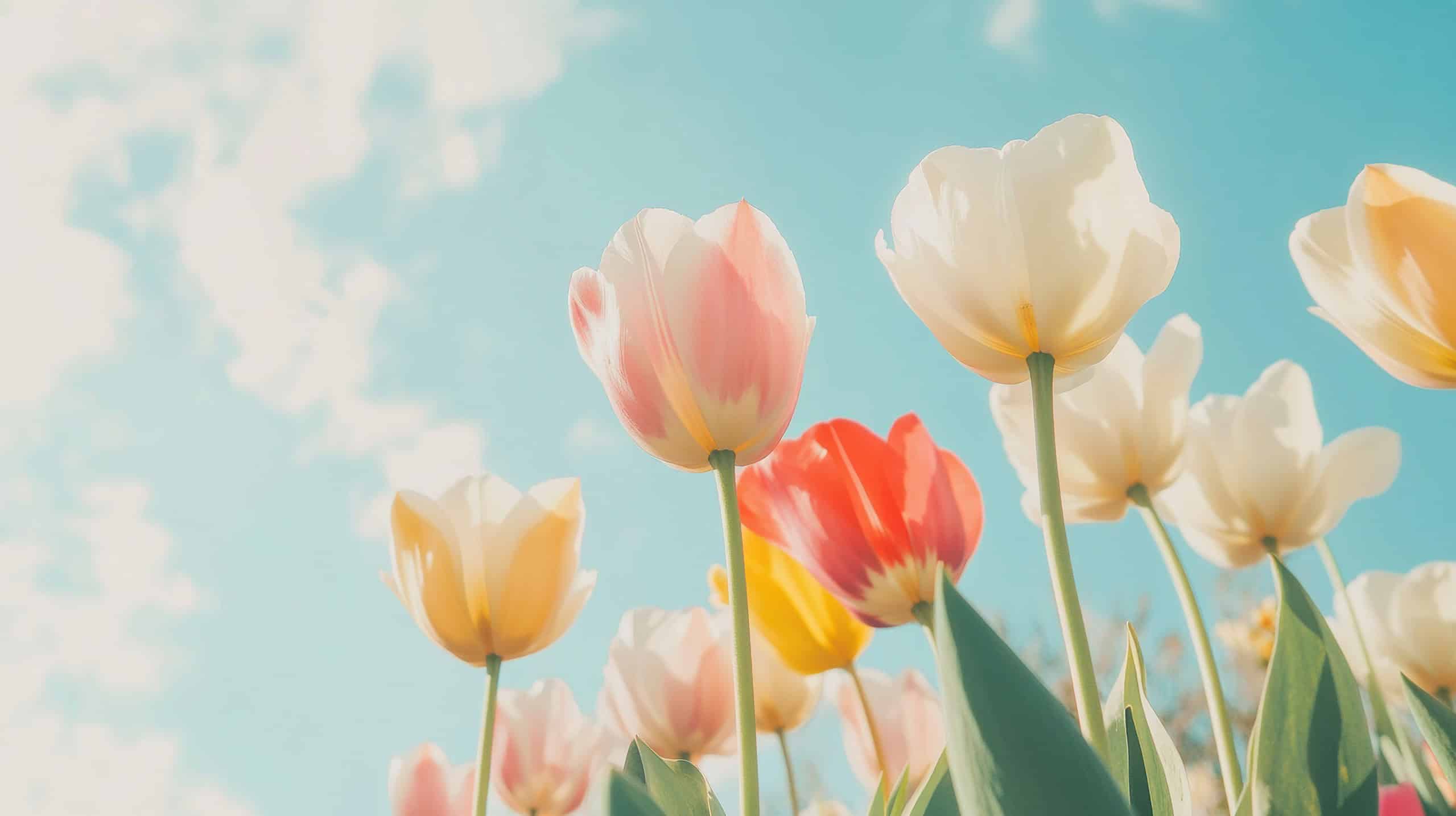 Colorful tulips sway gently in the breeze beneath a bright blue sky, highlighting the joys of spring and nature's vibrant colors.